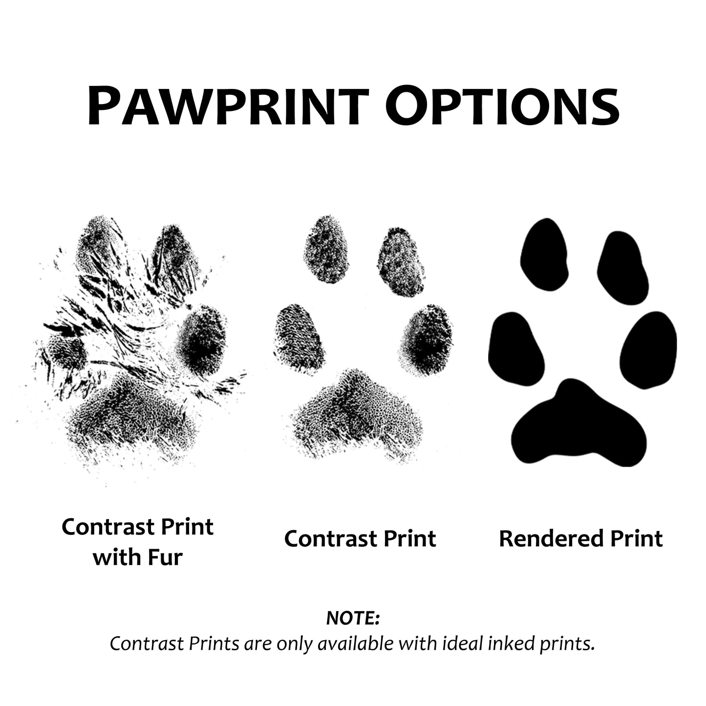 Pawprint Dog Tag Necklace with Gemstone Urn Capsule Bail - Silver [Small]